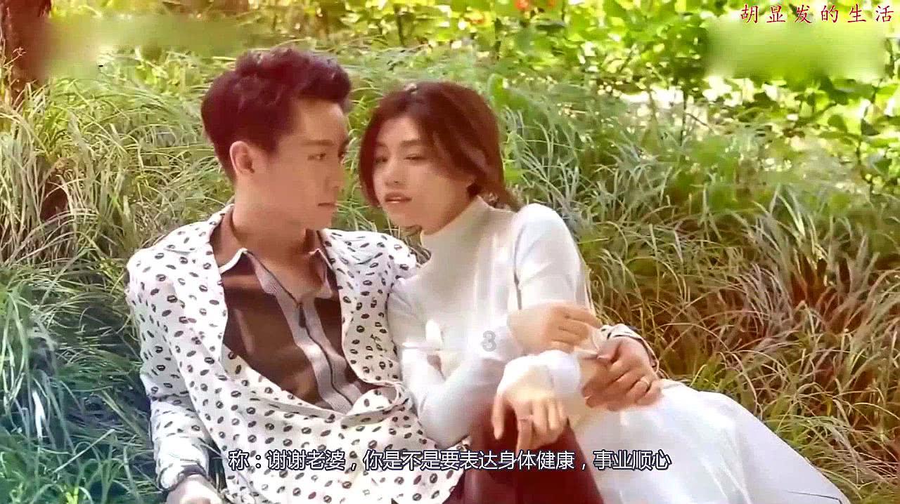 小猫钓鱼正版下载中文版